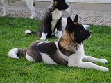 2010_05_24 359.jpg